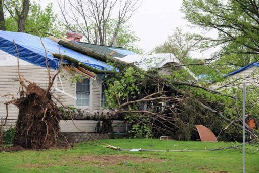 fallen trees, storm damage - Modern Roofing Group